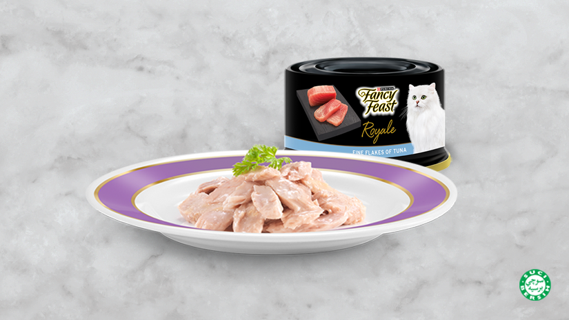 Fancy Feast Royale virgin tuna wet can food plated on a purple rimmed plate