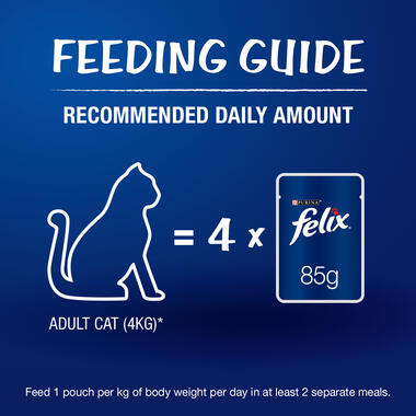 FELIX® As Good As It Looks Adult Chicken in Jelly Wet Cat Food