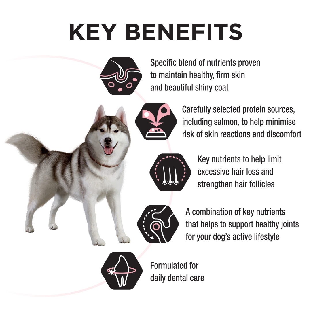 PRO PLAN Adult Sensitive Skin & Coat M&L Salmon Dry Dog Food PRO PLAN Adult Sensitive Skin & Coat M&L Salmon Dry Dog Food