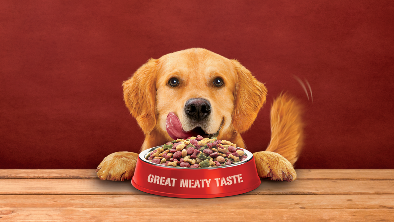 Dog looking happy with ALPO Food Bowl 
