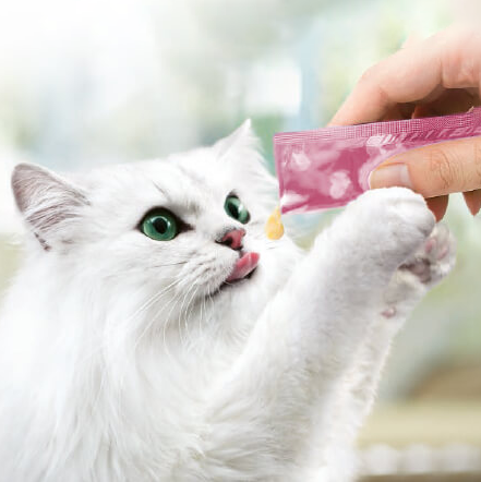 White persian cat being hand fed a creamy wet treat