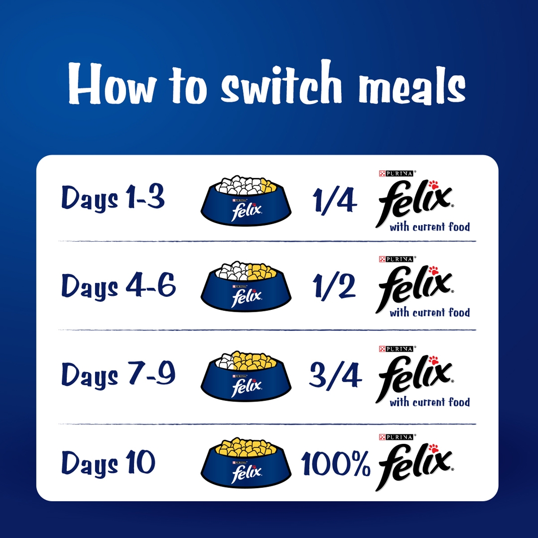 FELIX® As Good As It Looks Kitten Chicken in Jelly Wet Cat Food