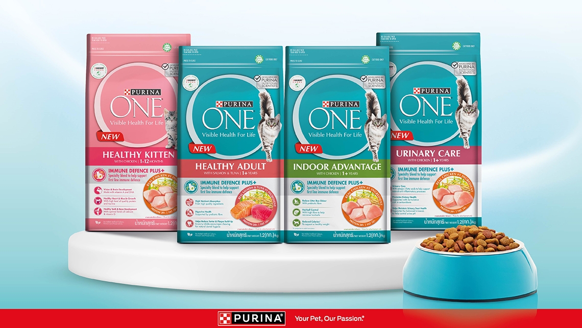 Purina One Dry Cat Food