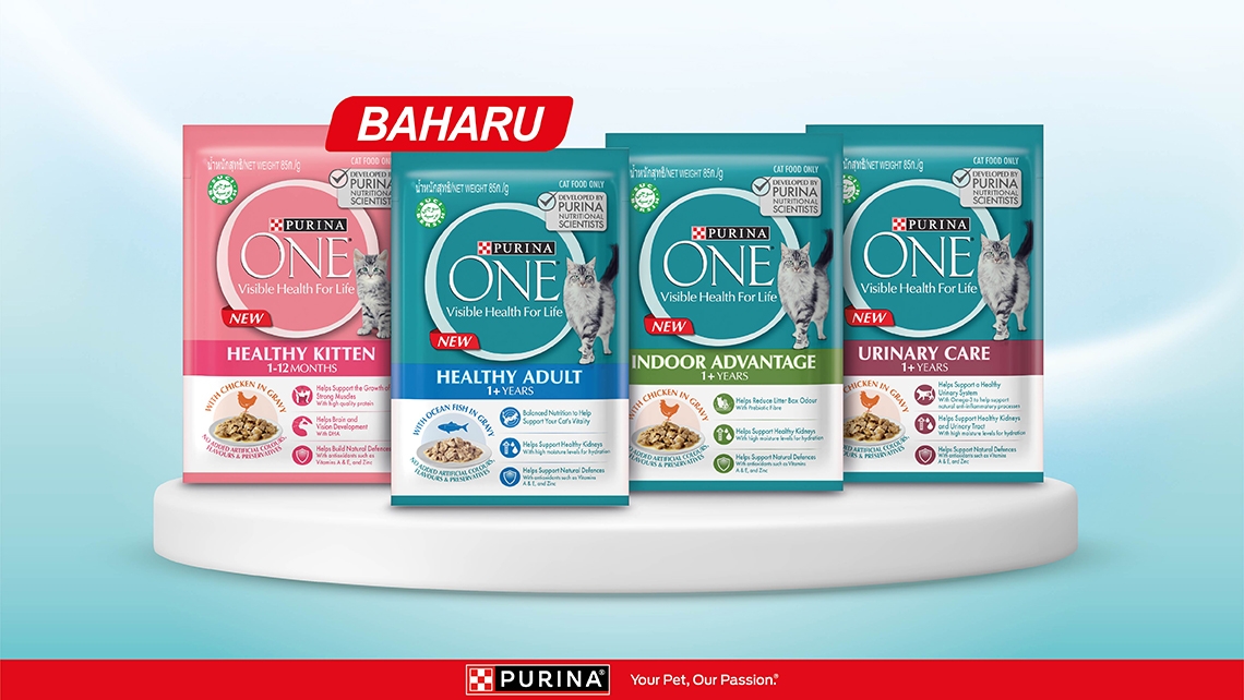 PURINA ONE Wet Cat Food