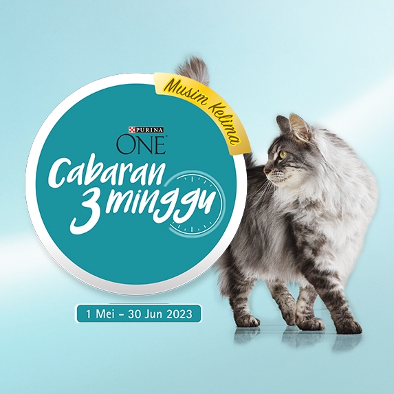Cabaran 3 minggu