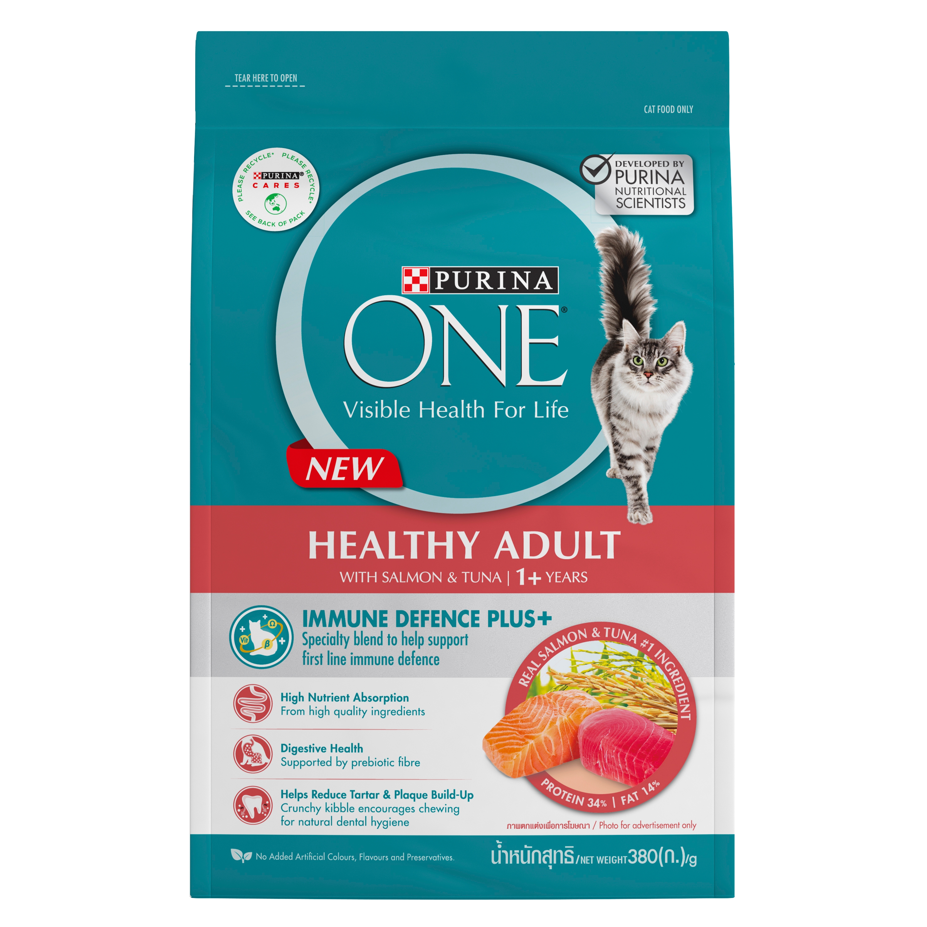 PURINA ONE Healthy Adult with Salmon and Tuna Dry Cat Food