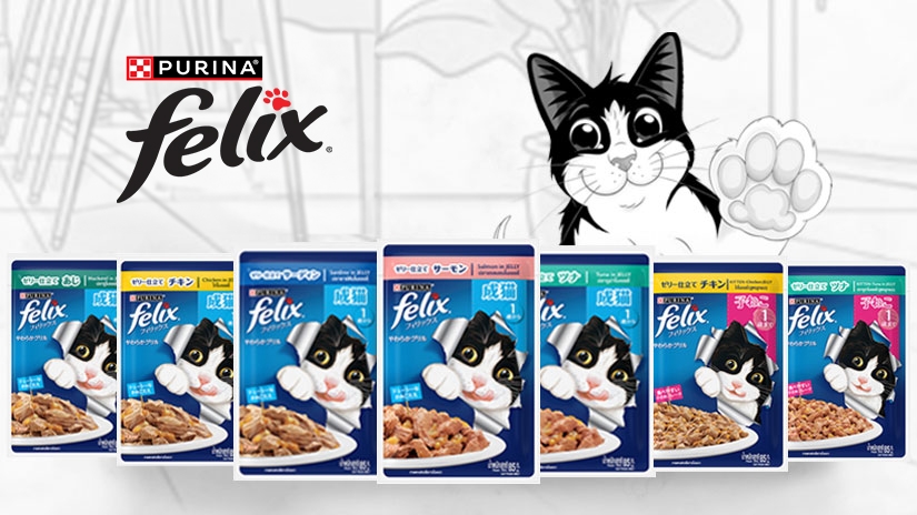 FELIX cat with a paw to high five the audience behind FELIX As Good As It Looks wet food pouch