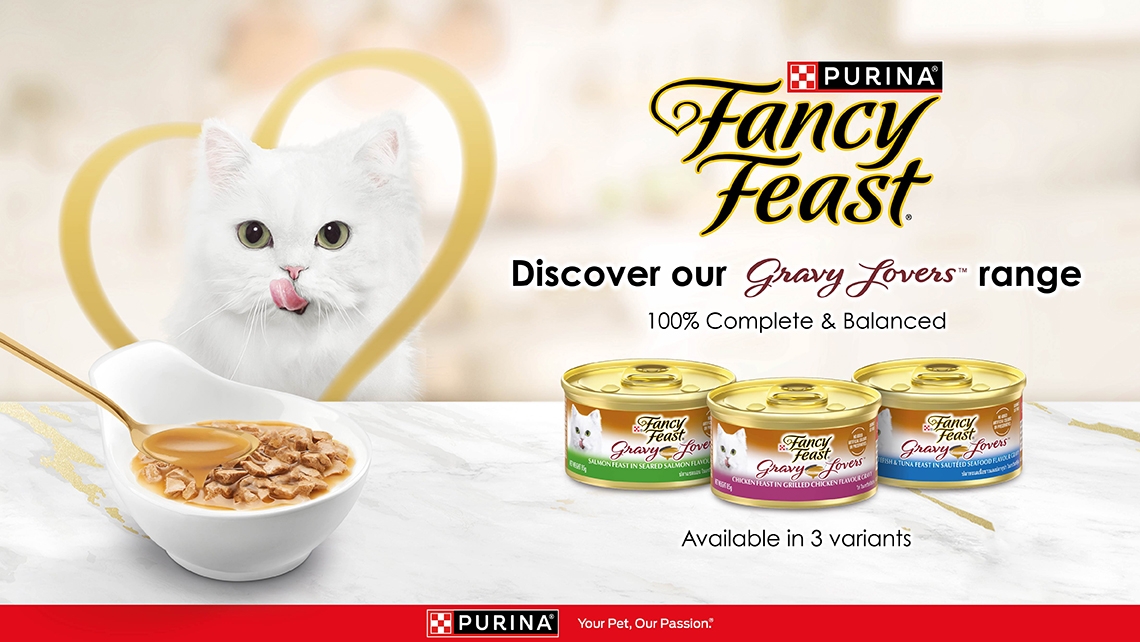 Purina Website Hero Image Gravy Lovers