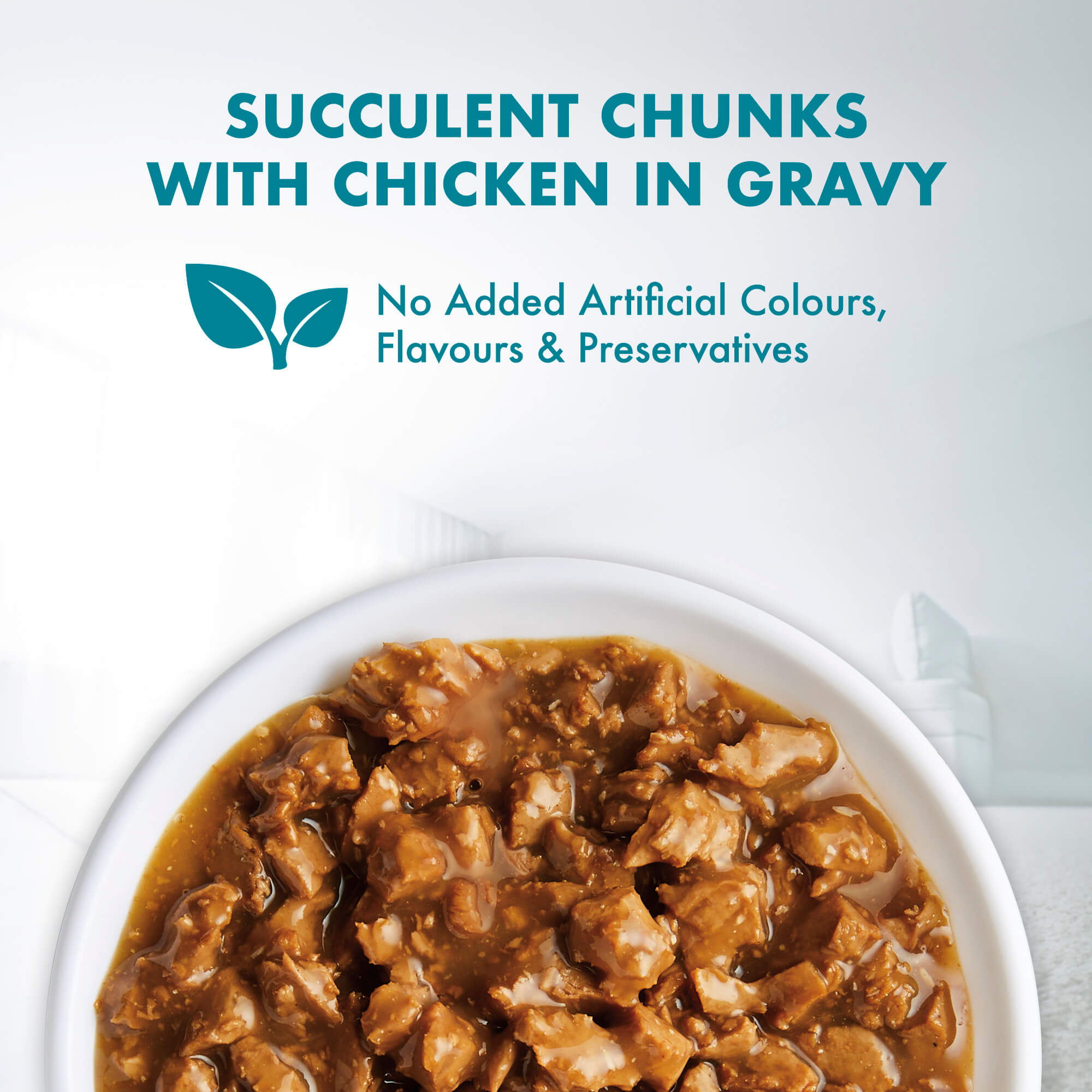 kitten chicken food image