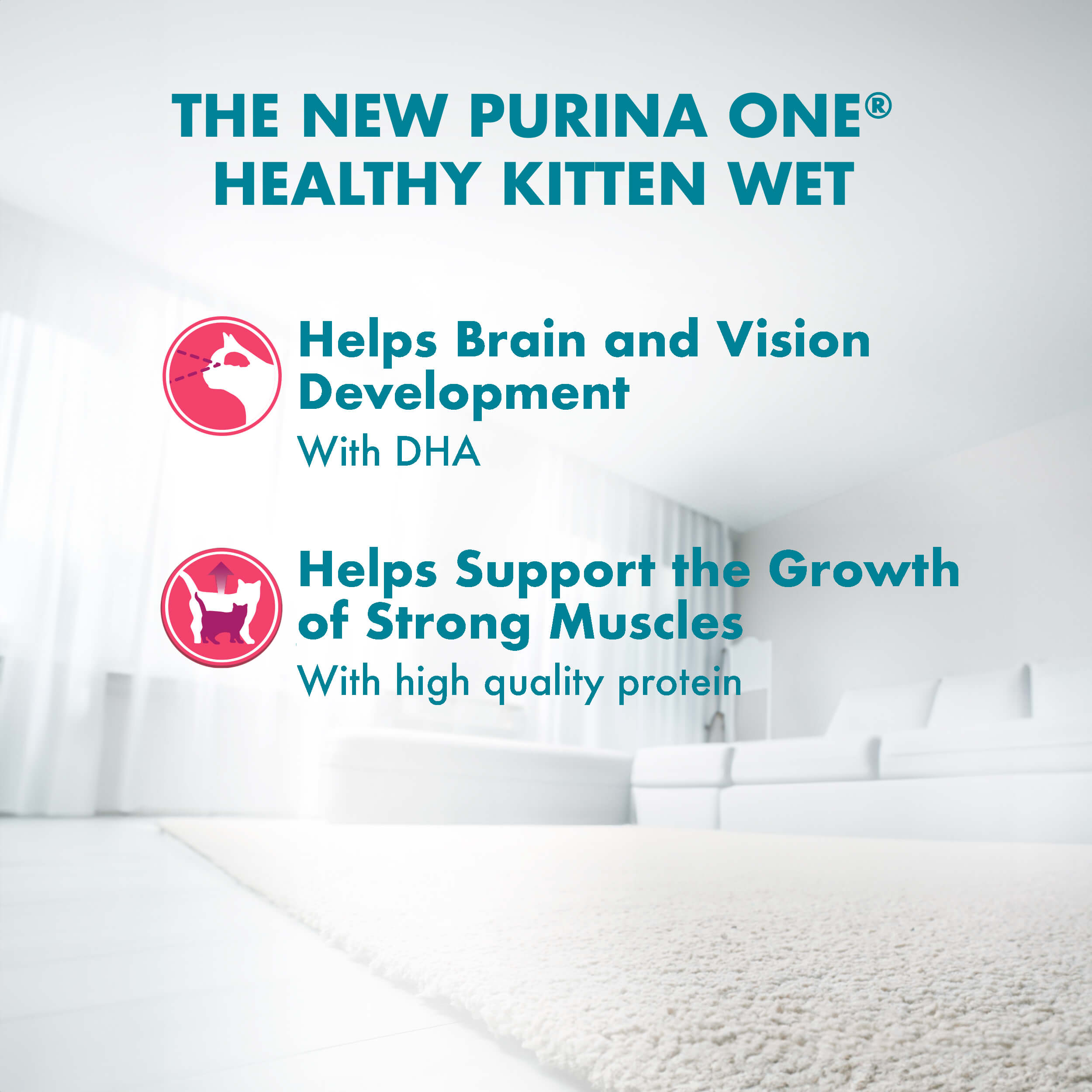 kitten chicken benefits