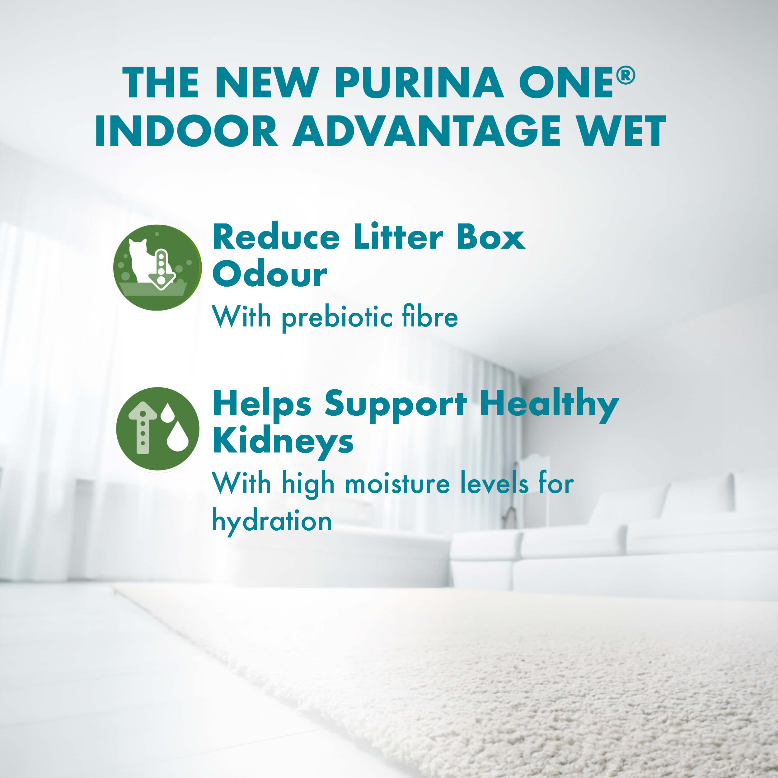 Adult Indoor Advantage with Chicken benefits