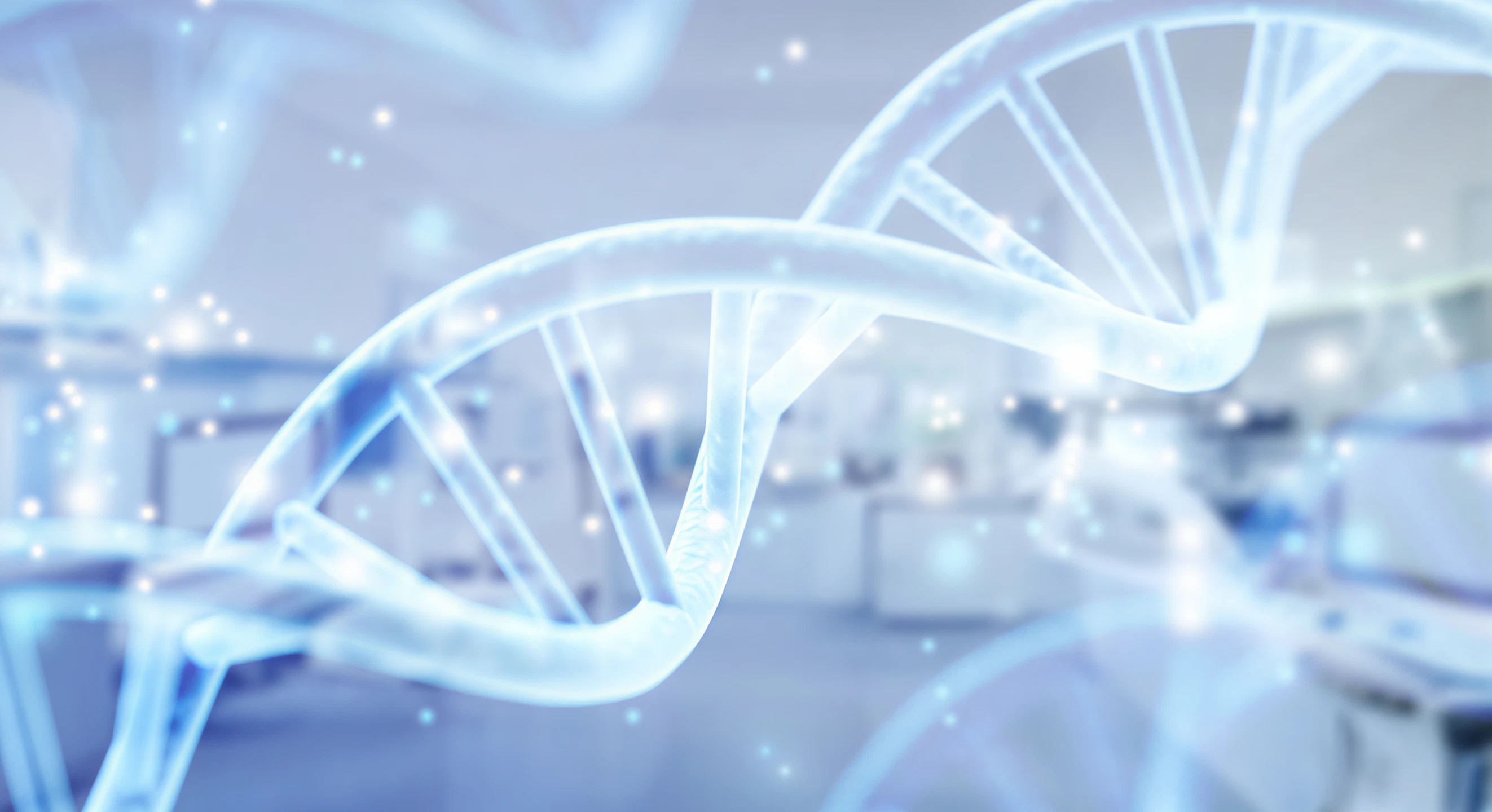Canine Genome