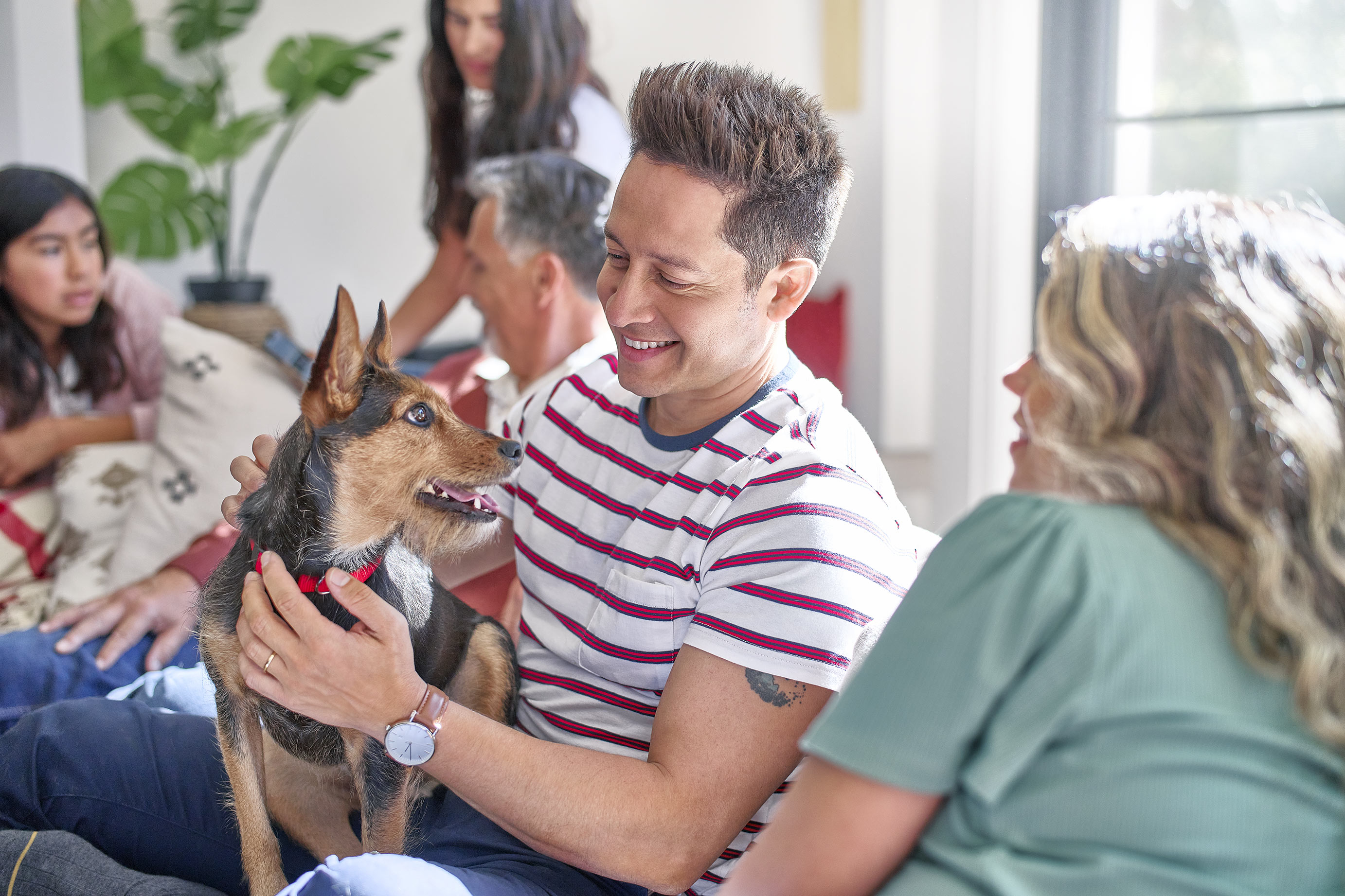 Pets and People
