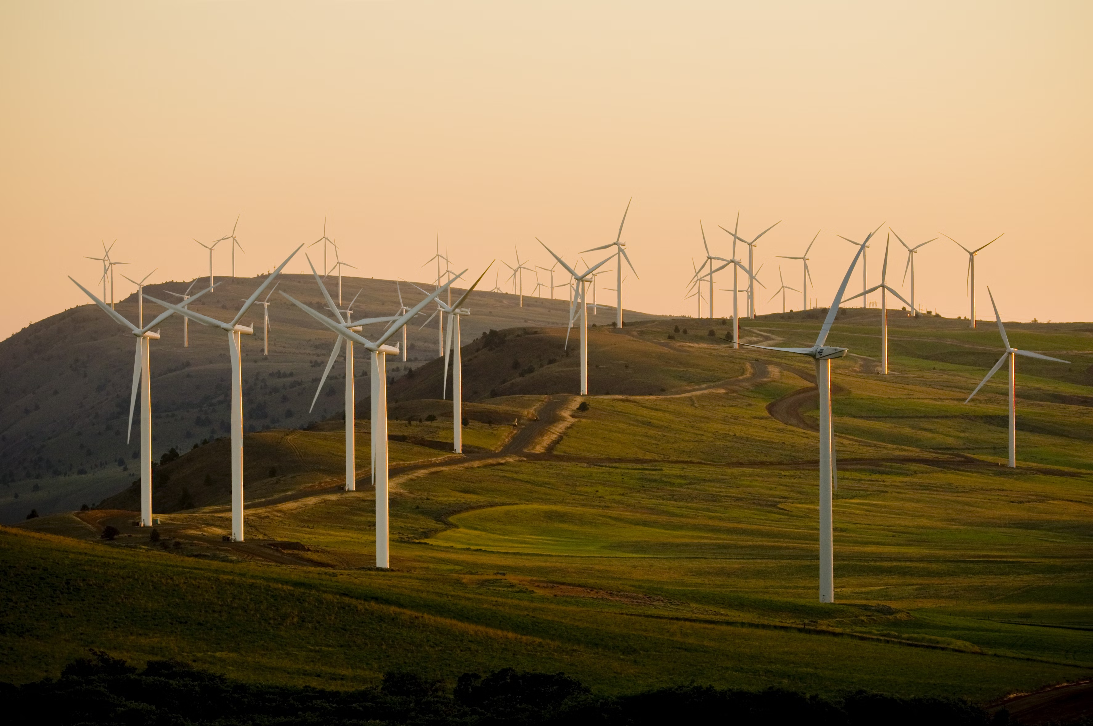 Sustainability 1