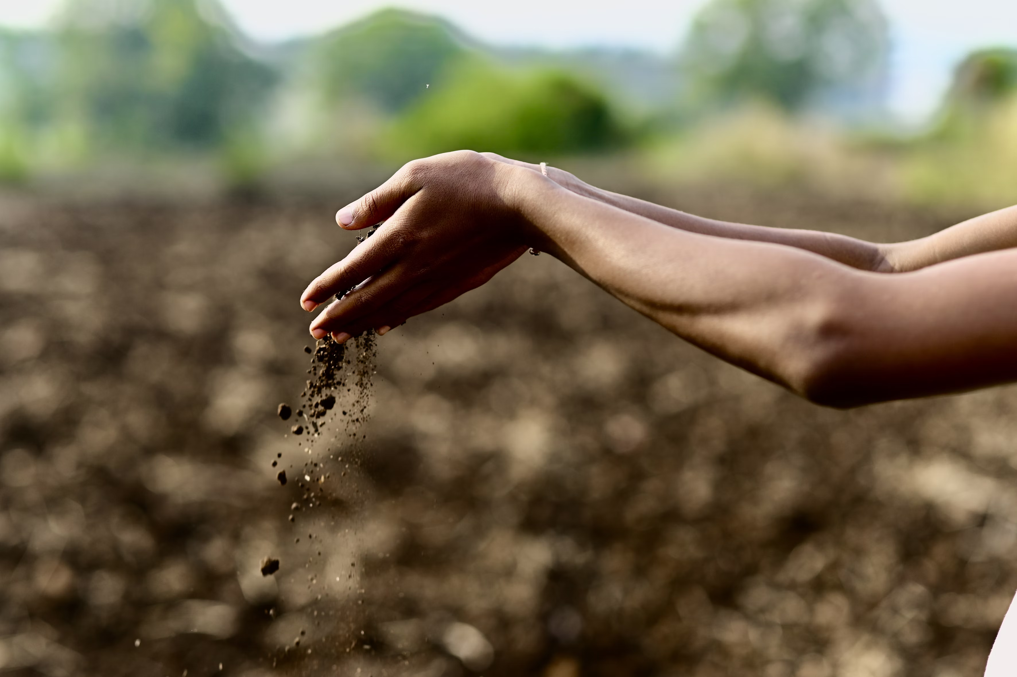 Sustainability 2