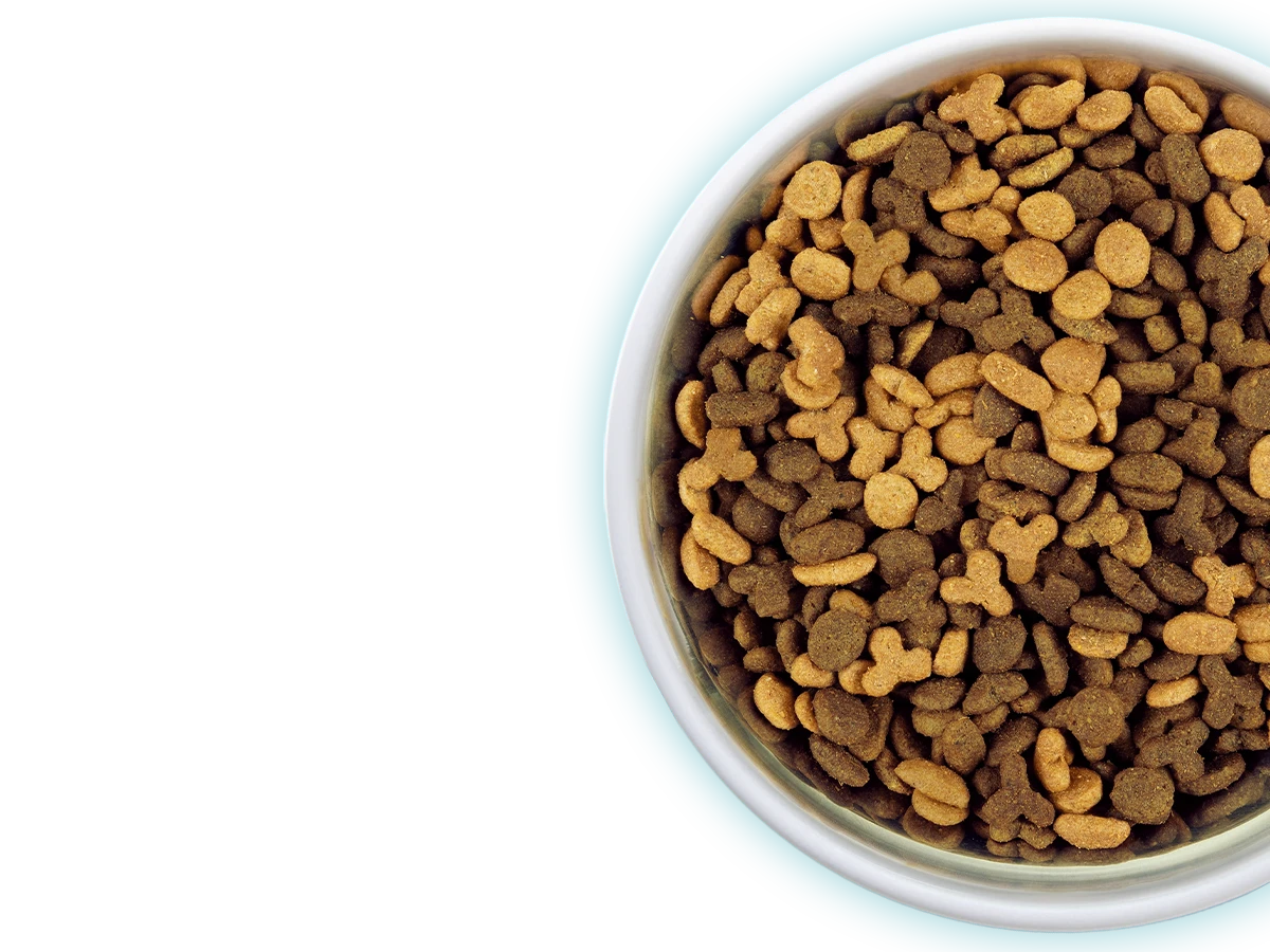 Dry Cat Food