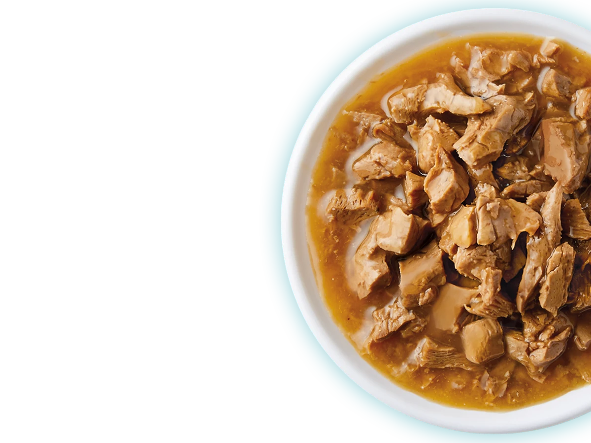 Wet Cat Food