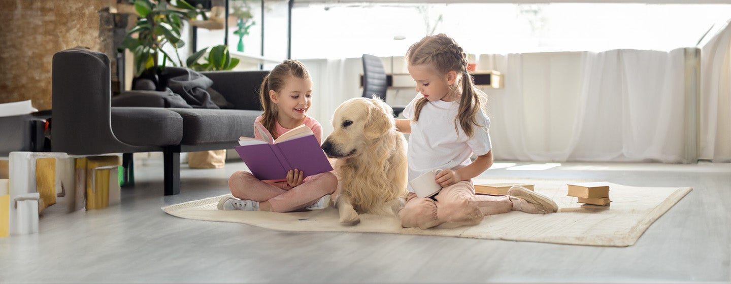 Dog Sitting and Daycare