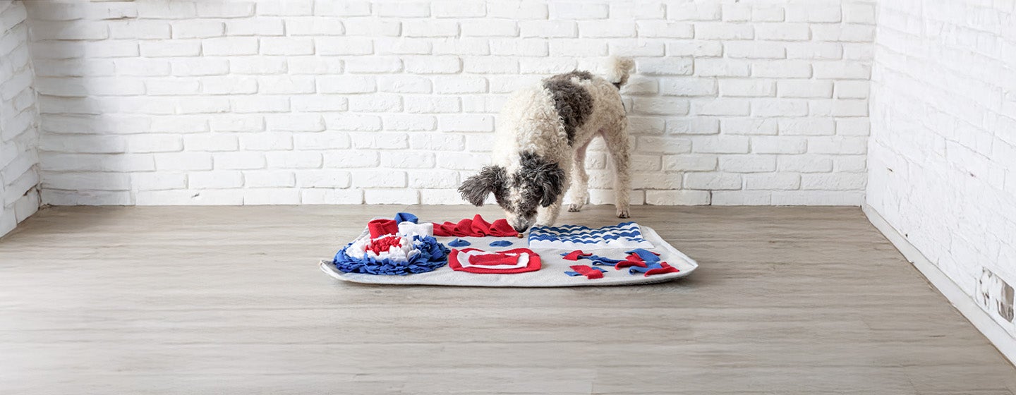 Snuffle Mats for Dogs