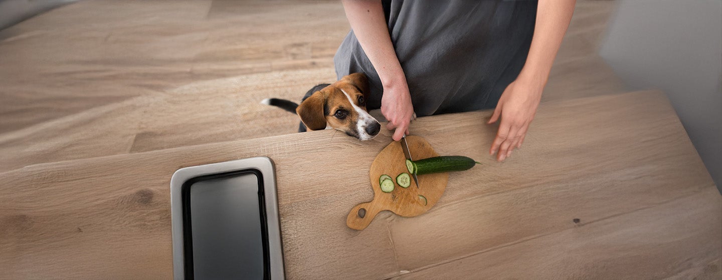 Vegetarian and Vegan Dog Food