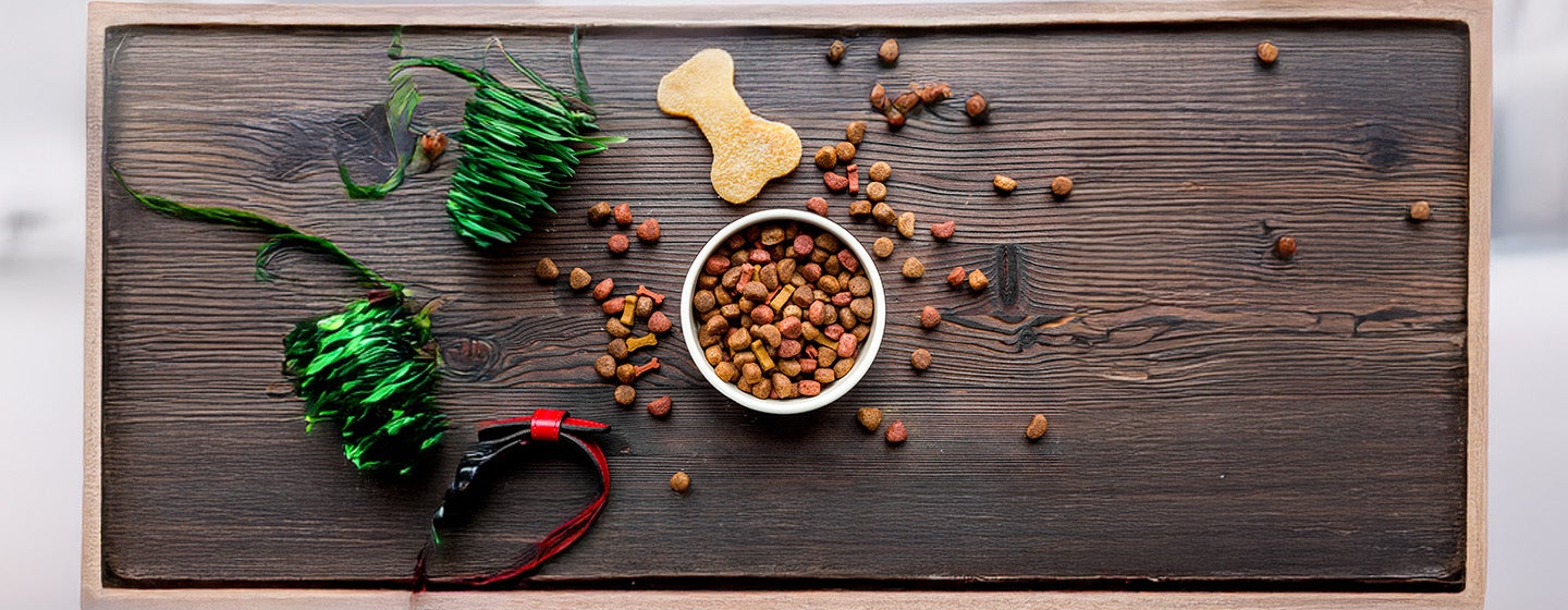 What’s in Dog Food