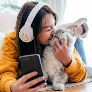 Cat Apps You Need to Know About