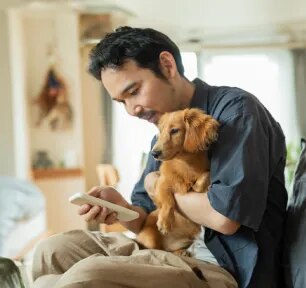 Dog Apps to Keep Your Pet Entertained