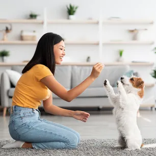 Cool Tricks to Teach Your Dog