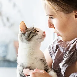 Adopting a Cat or Kitten