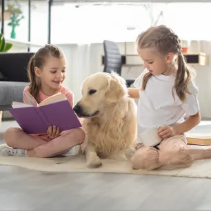 Dog Sitting and Daycare