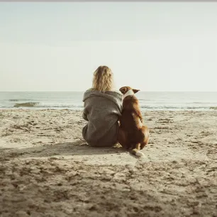 Dog Years to Human Years Calculator.jpg