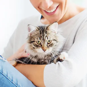 Guide to Boarding Catteries and Cat Sitting Services