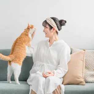 How to Discipline Your Cat