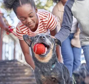 Pet Adoption Interview – Aileen’s Experience