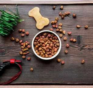 What’s in Dog Food