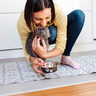 What Human Foods Can Cats Eat?