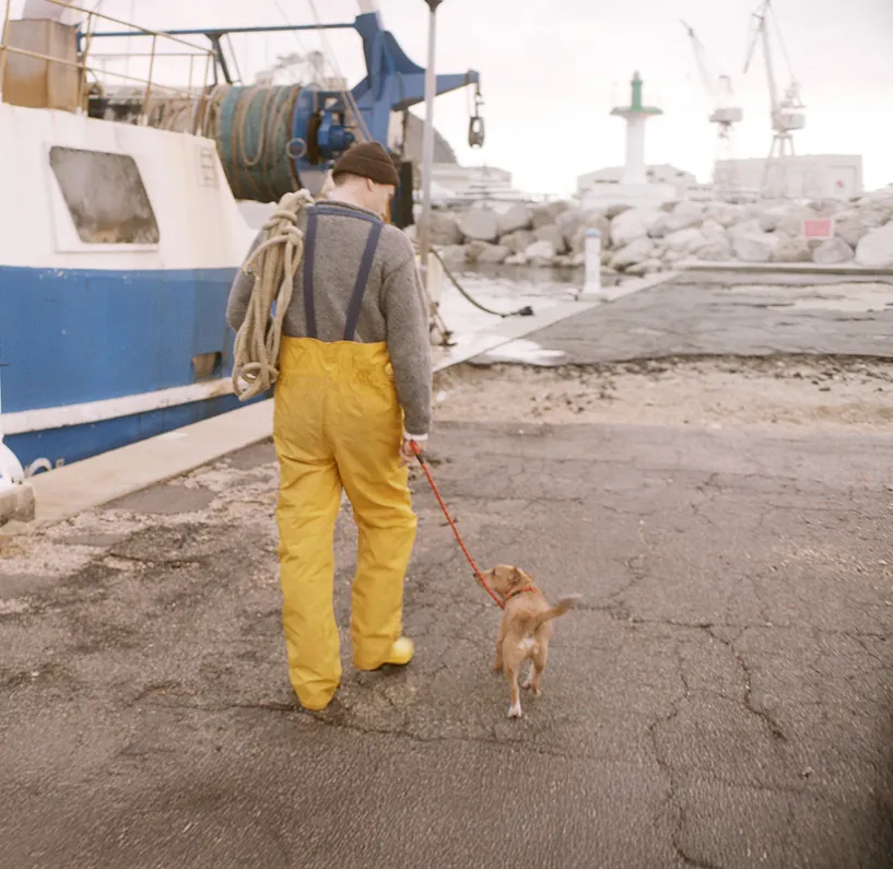 Man And Dog