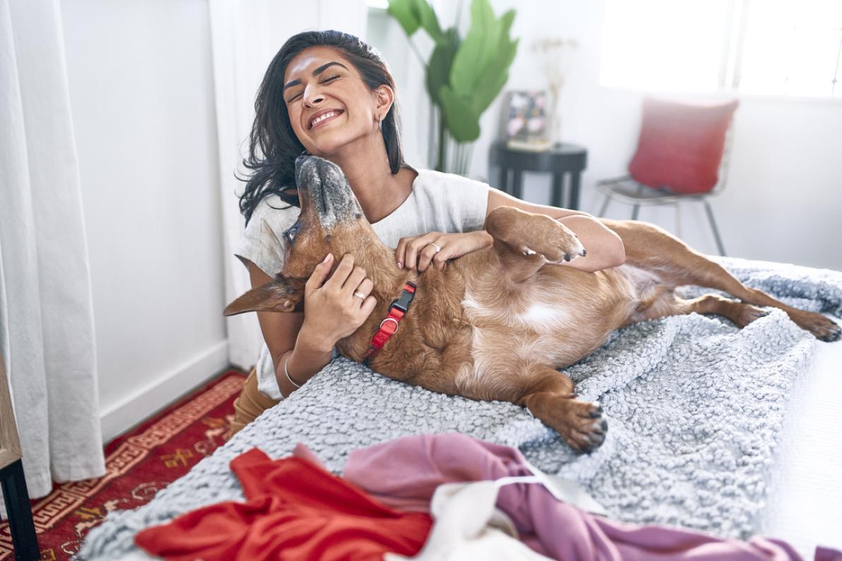 Finding the Right Pet