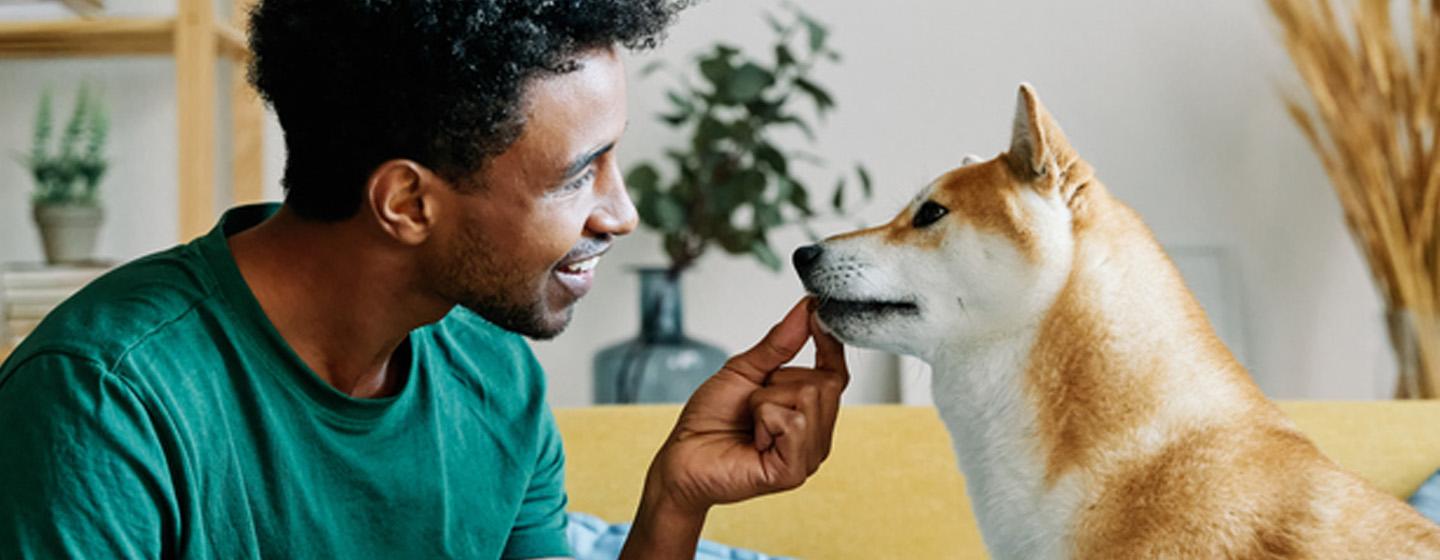Can Dogs Eat Bread?