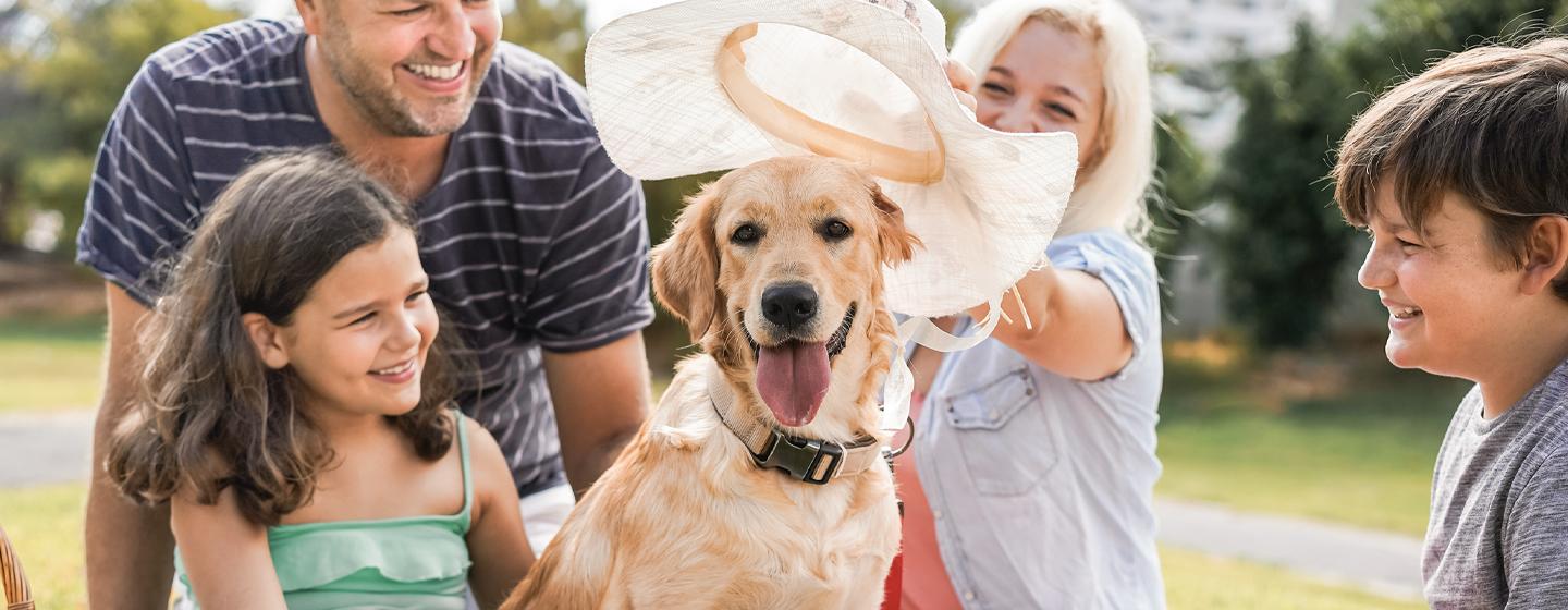 Have Fun with Our Favourite Dog Jokes and Puns