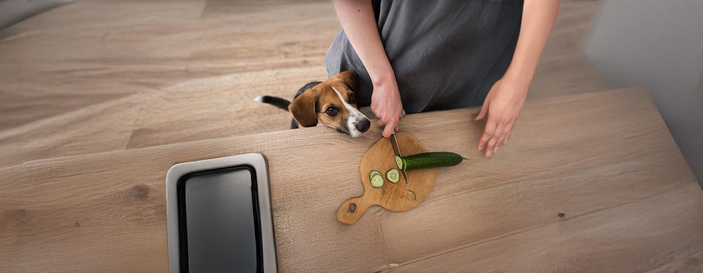 Vegetarian and Vegan Dog Food