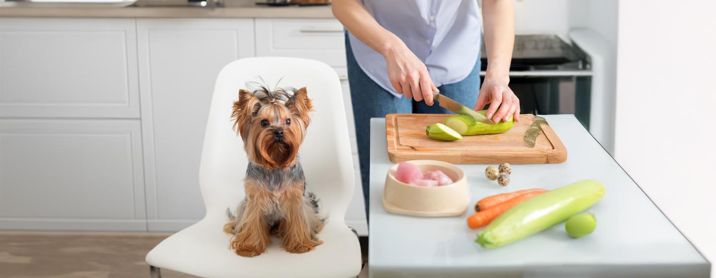 Can Dogs Live Off Homemade Dog Food?