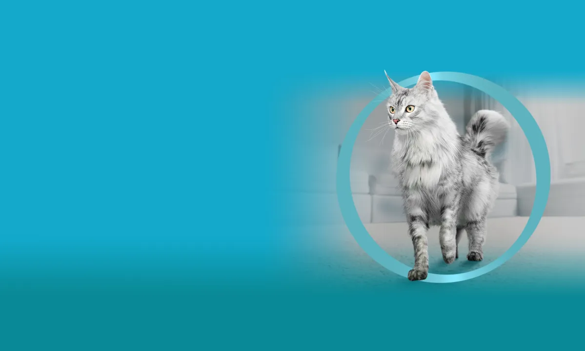 Purina ONE®