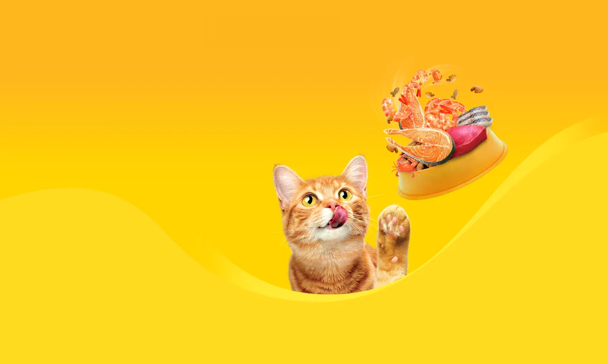 Friskies