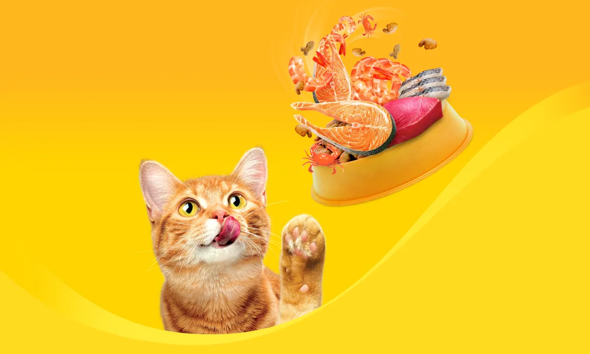 Friskies