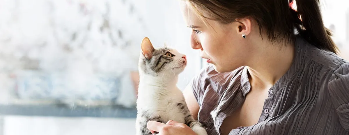 Adopting a Cat or Kitten