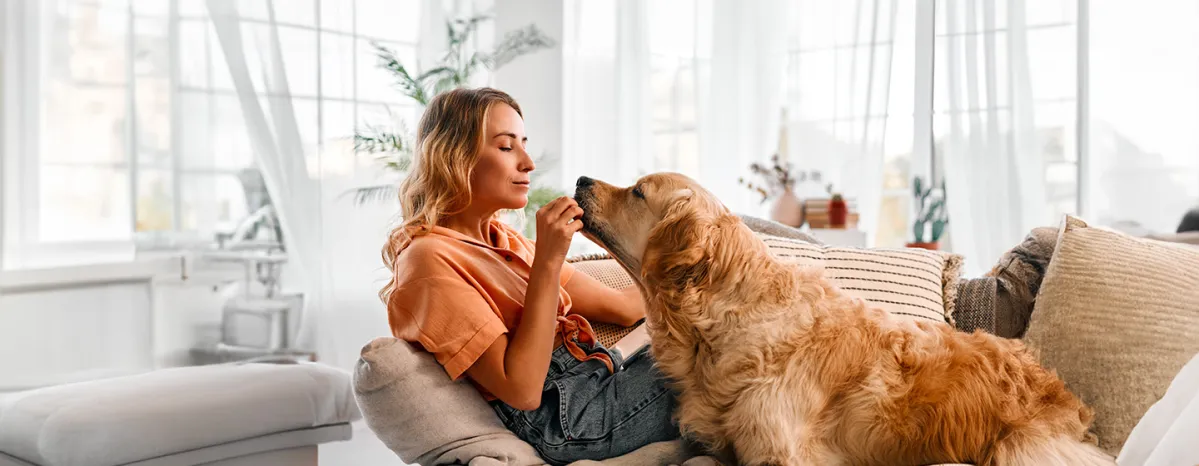 Can Dogs Eat Ginger