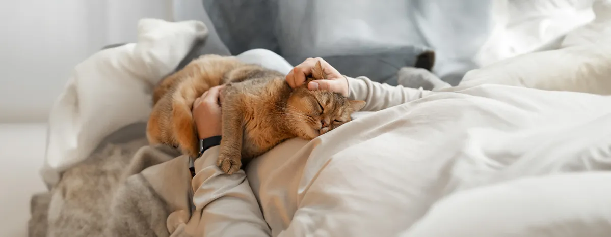 Cat Stroke Symptoms and Treatment