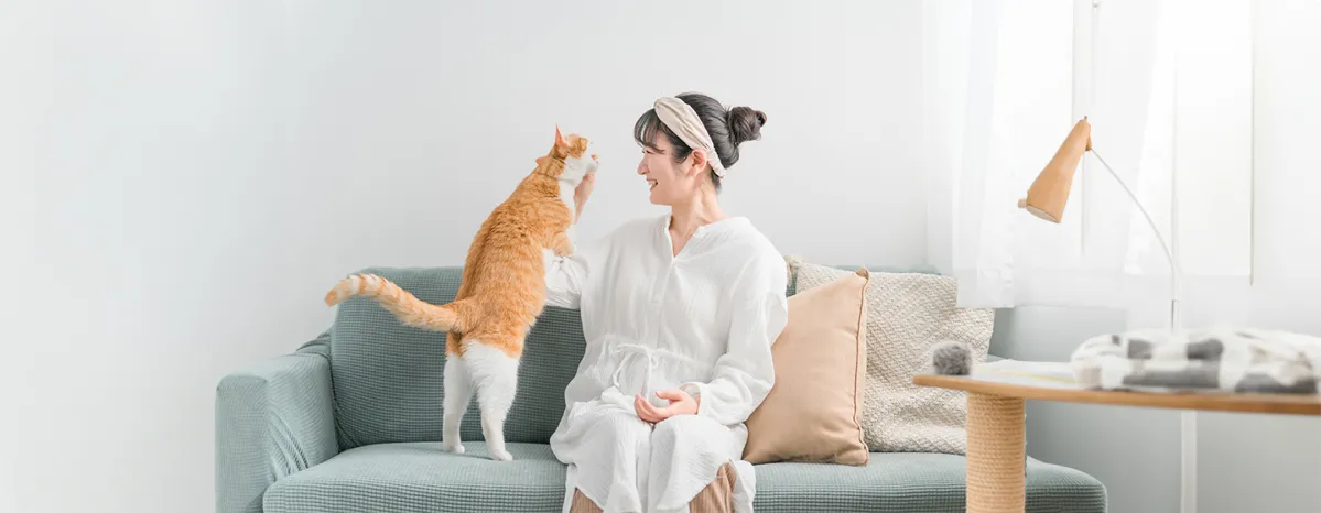 How to Discipline Your Cat