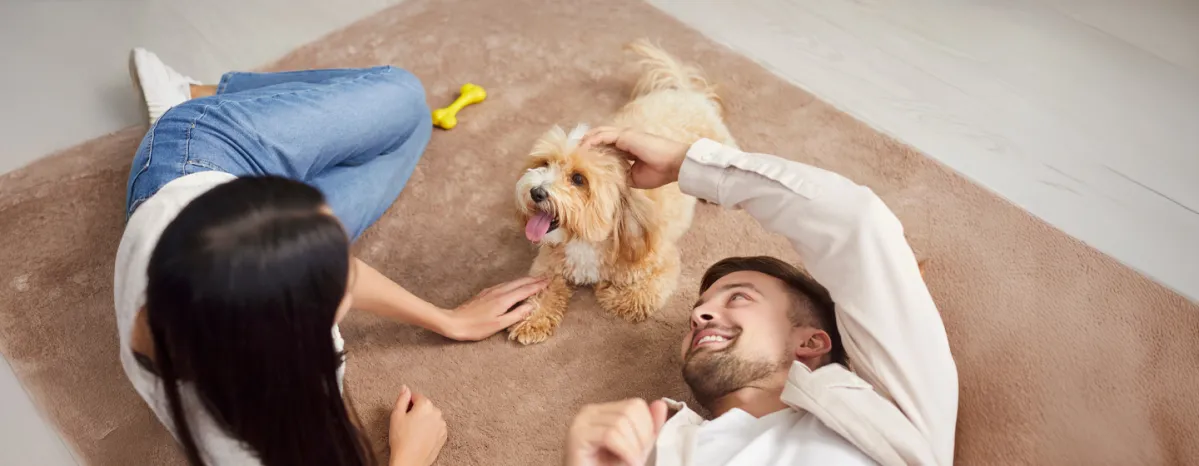 Puppy Buying Guide: Finding the Right Breeder